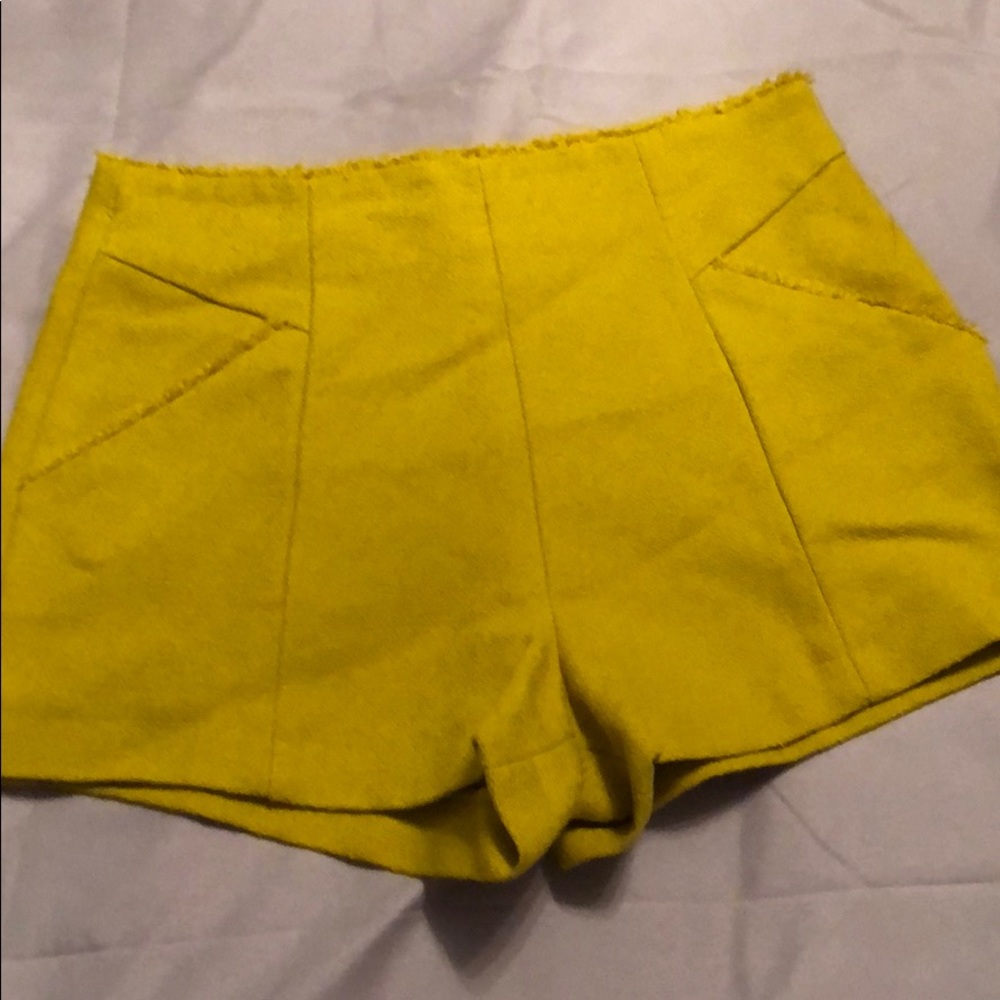 Zara Shorts